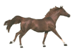 gaanhorse1.gif